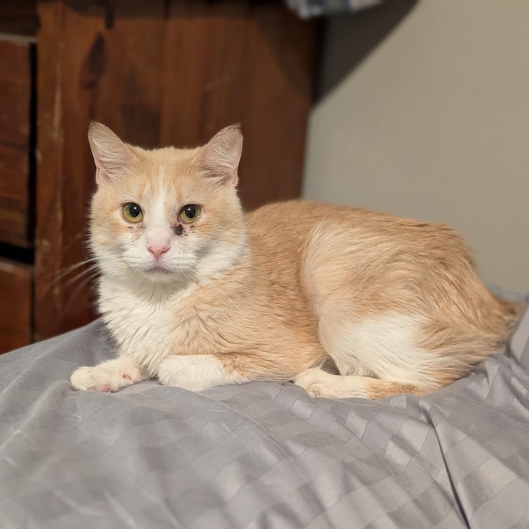 Fern (bonded to Moochi)