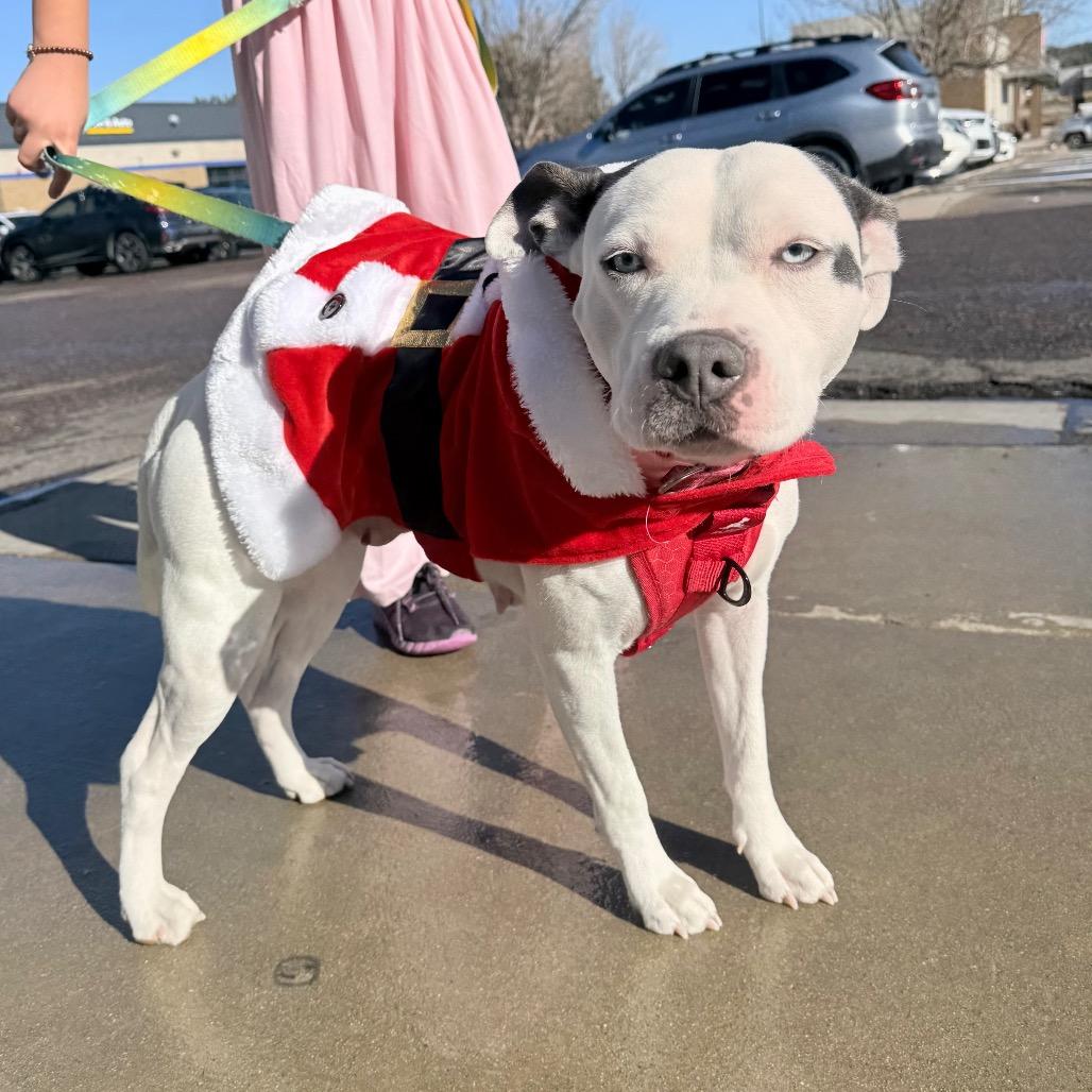 731 (2025) Mama Angel