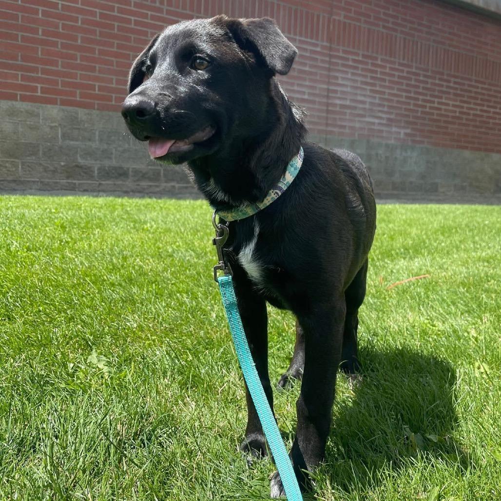 Bruce Wayne/Jaa'abani