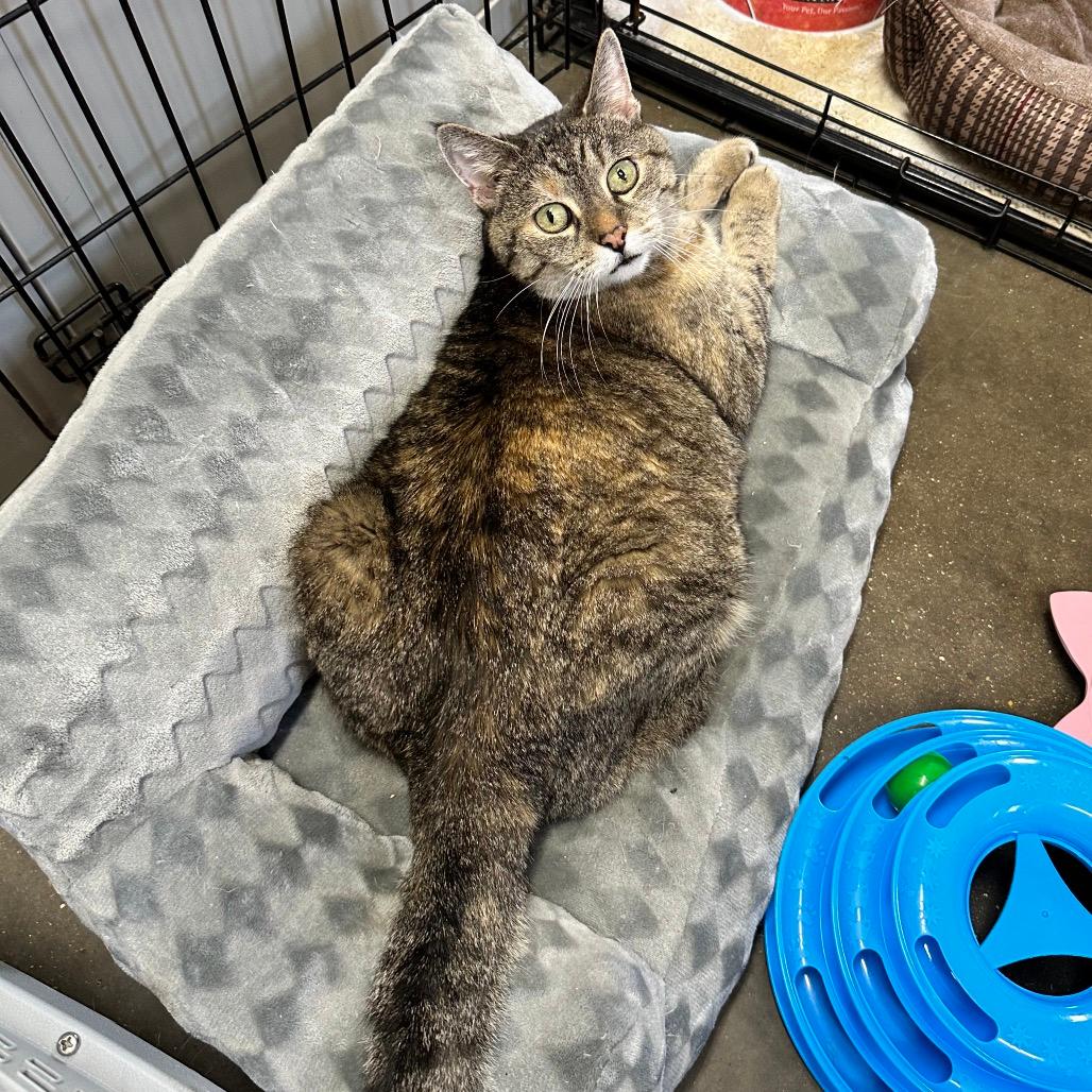 Mrs. Doubtfire Office