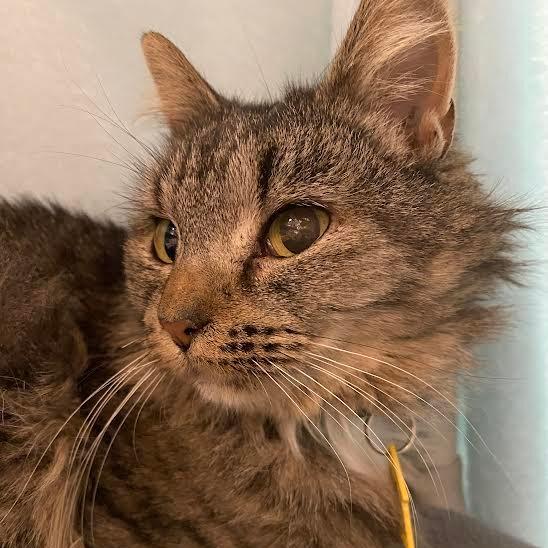 Bye-Bye-50% OFF!-See my video!