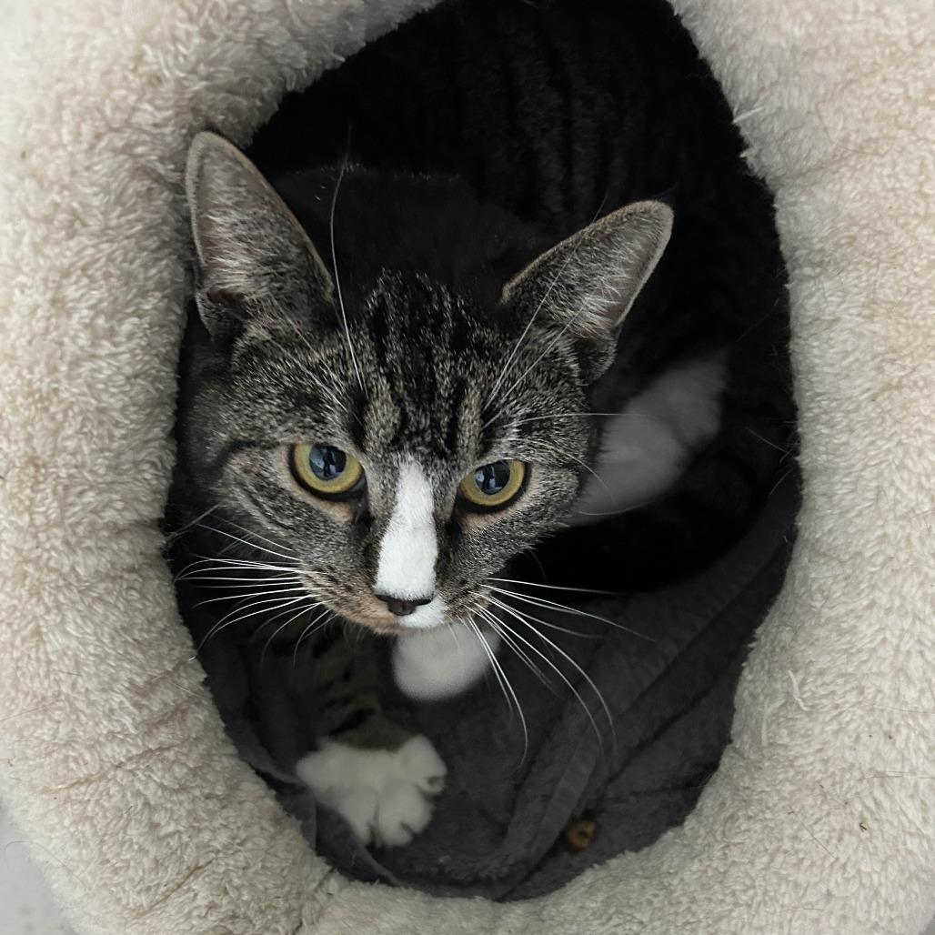 April (Bunnell Mama)