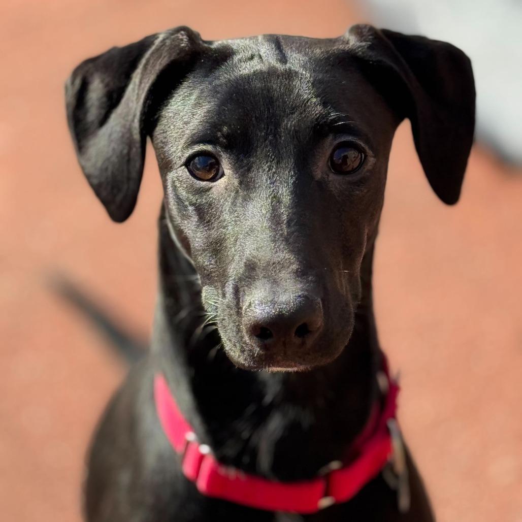 Tillie - See my Video!