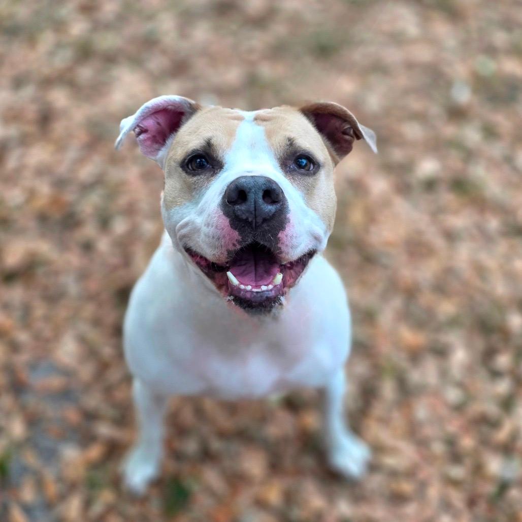 Luna aka Loony Tunes