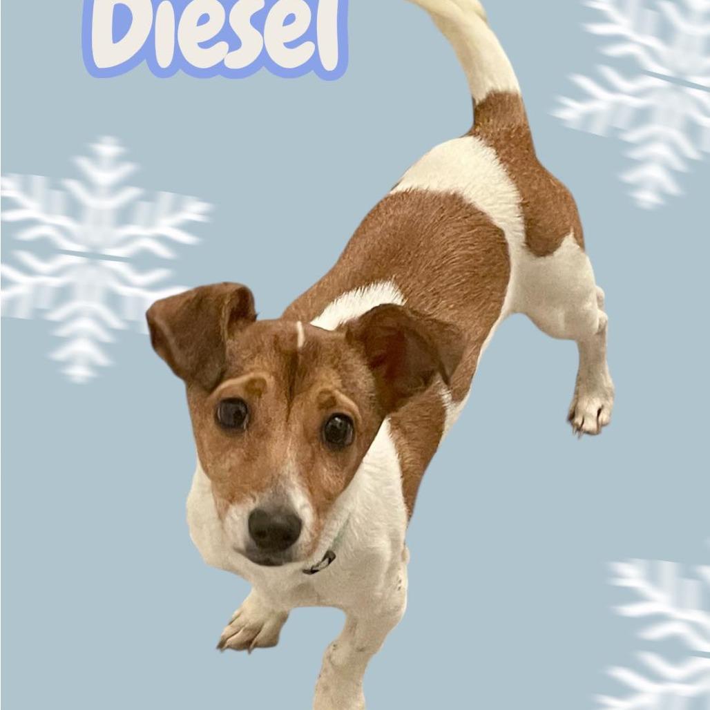 Diesel