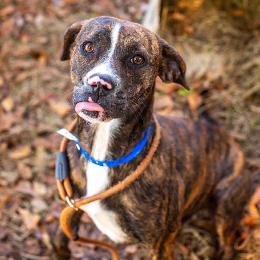 Royster on the Half Shell