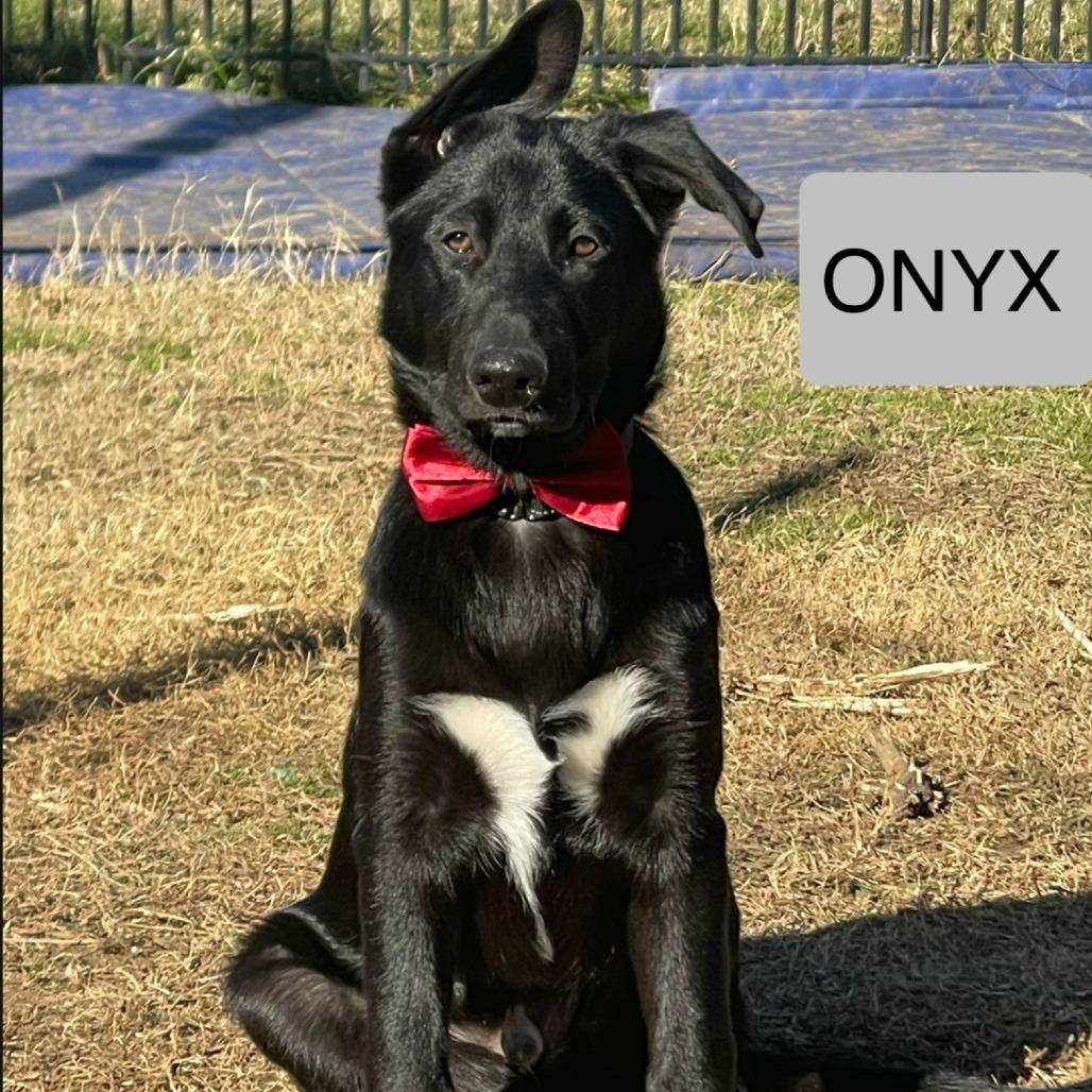 Onyx