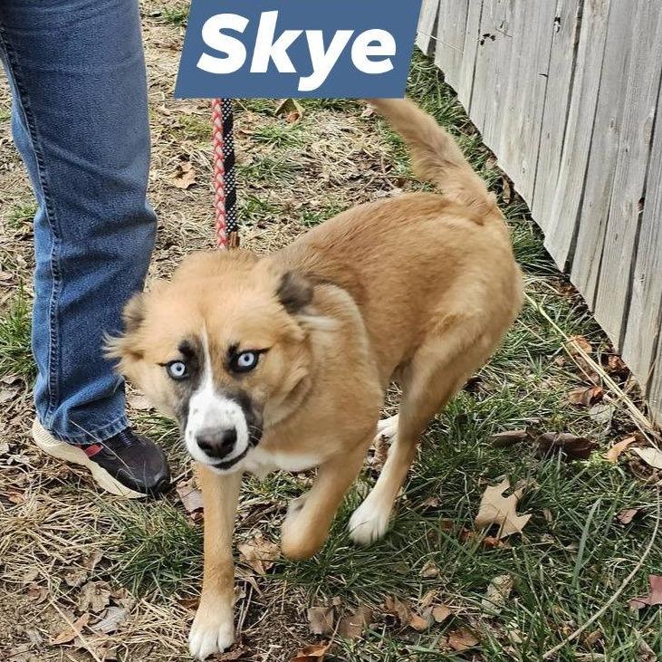 Skye