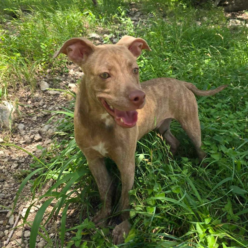 Sawyer