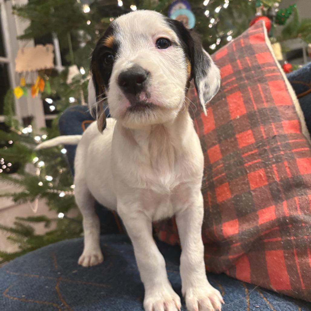 NY Summit Avail Dec 20 (Tractor Supply Patterson)