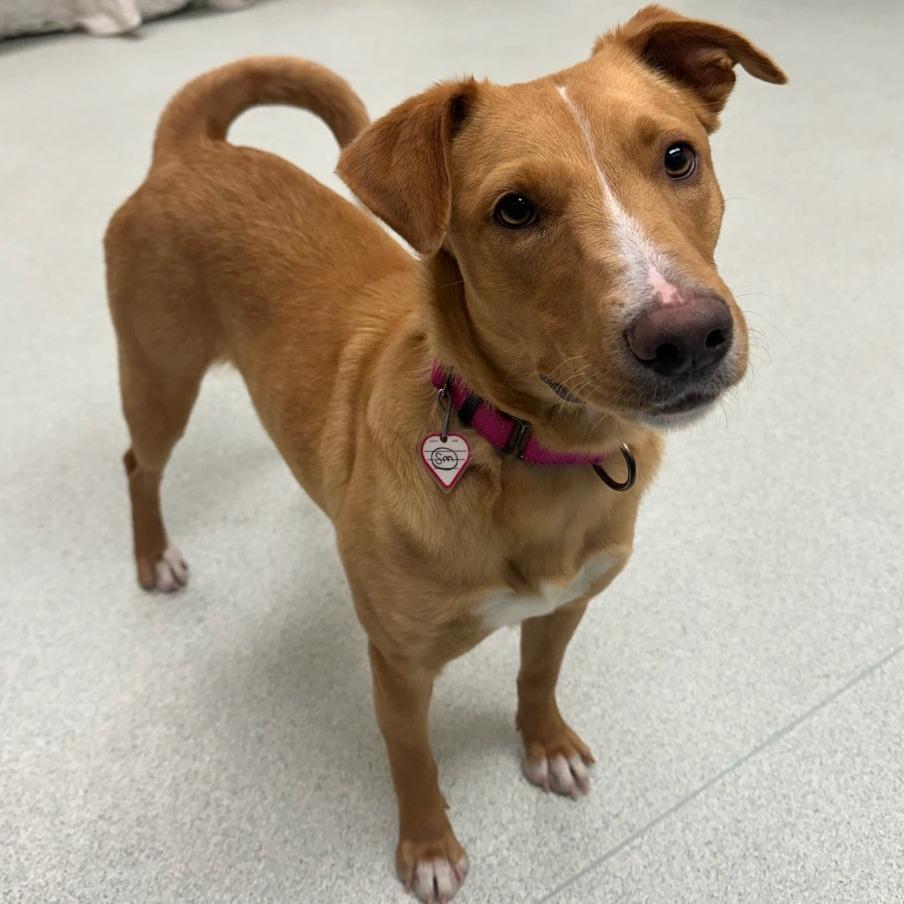 Ari- 50% OFF!*see my video!!*