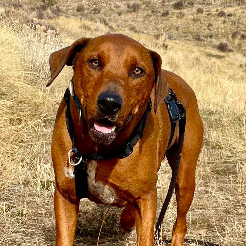 Beefcake "Beefy" McGee