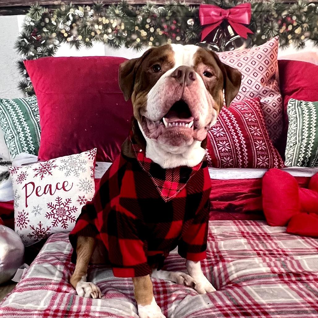 Princeton (Reduced Rover)