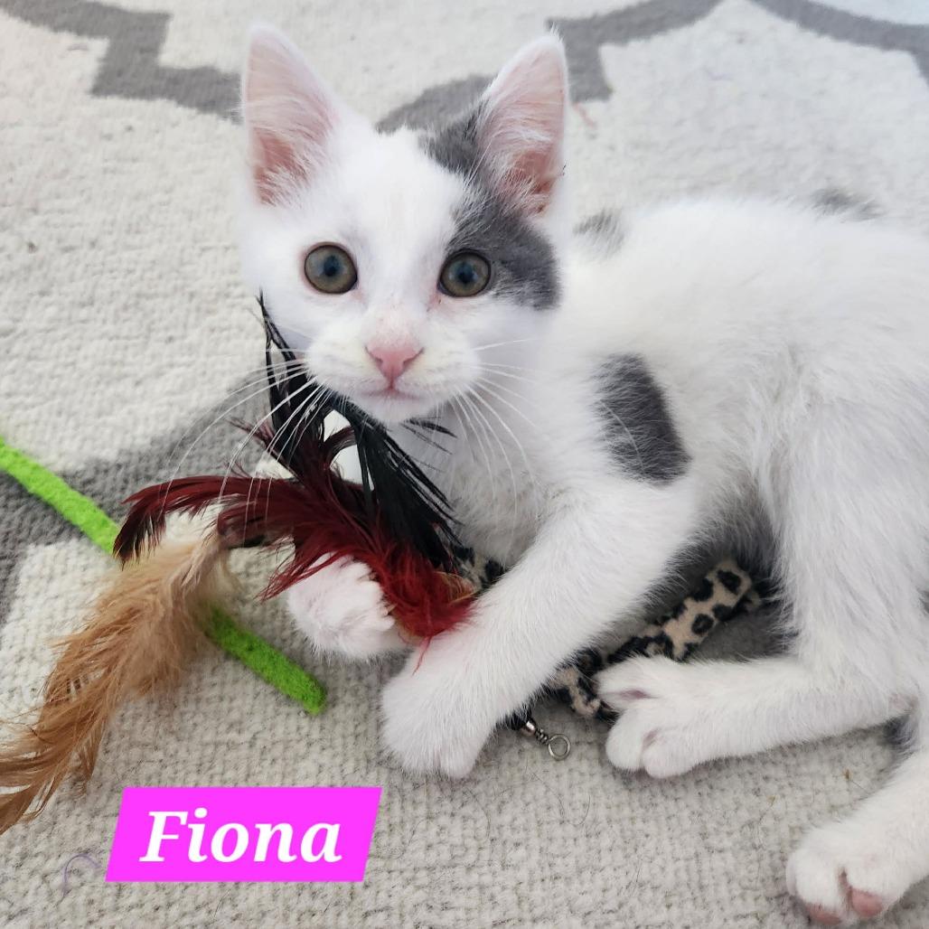 Fiona
