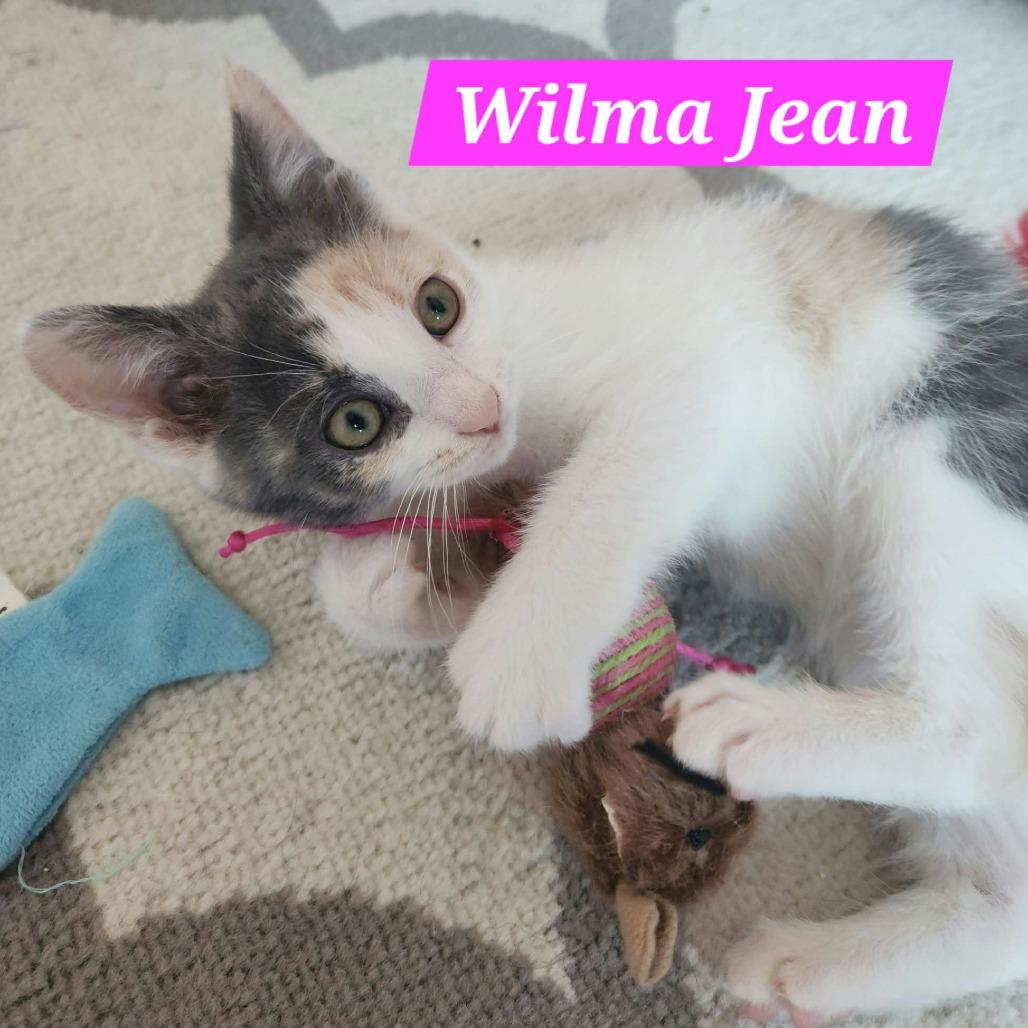 Wilma Jean
