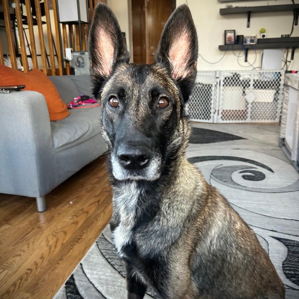 927 (2025) Mama Lady