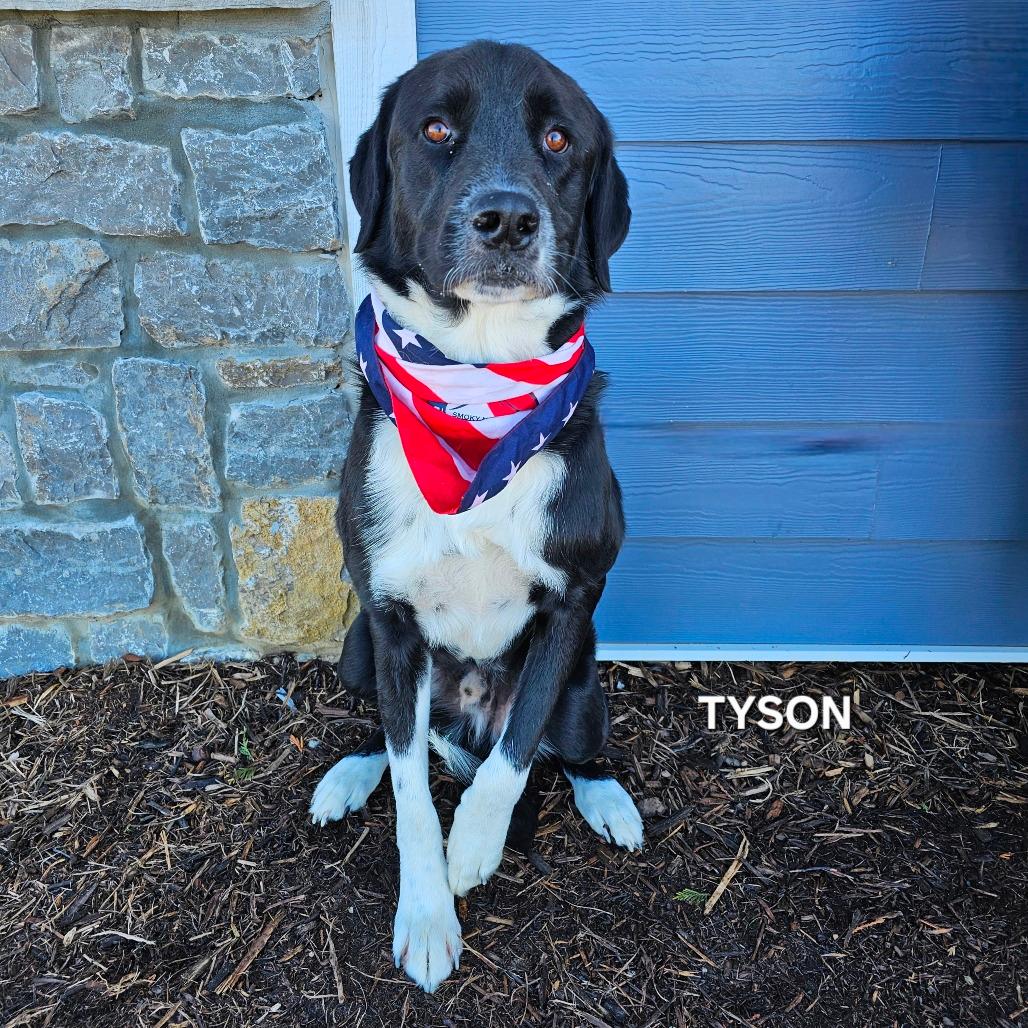 Tyson