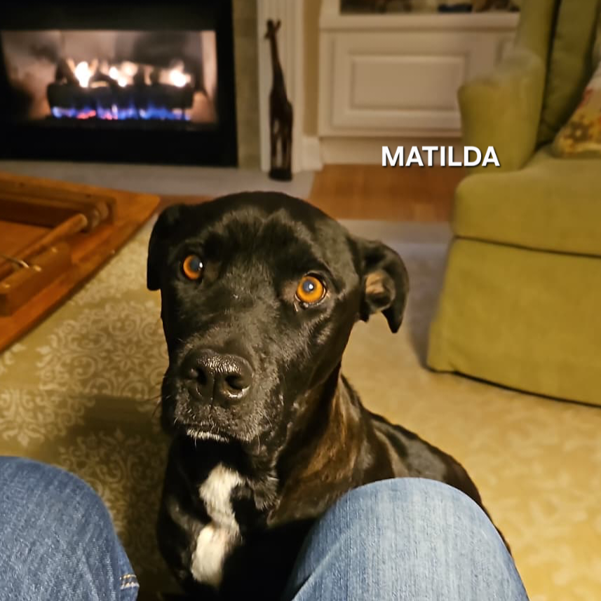 Matilda