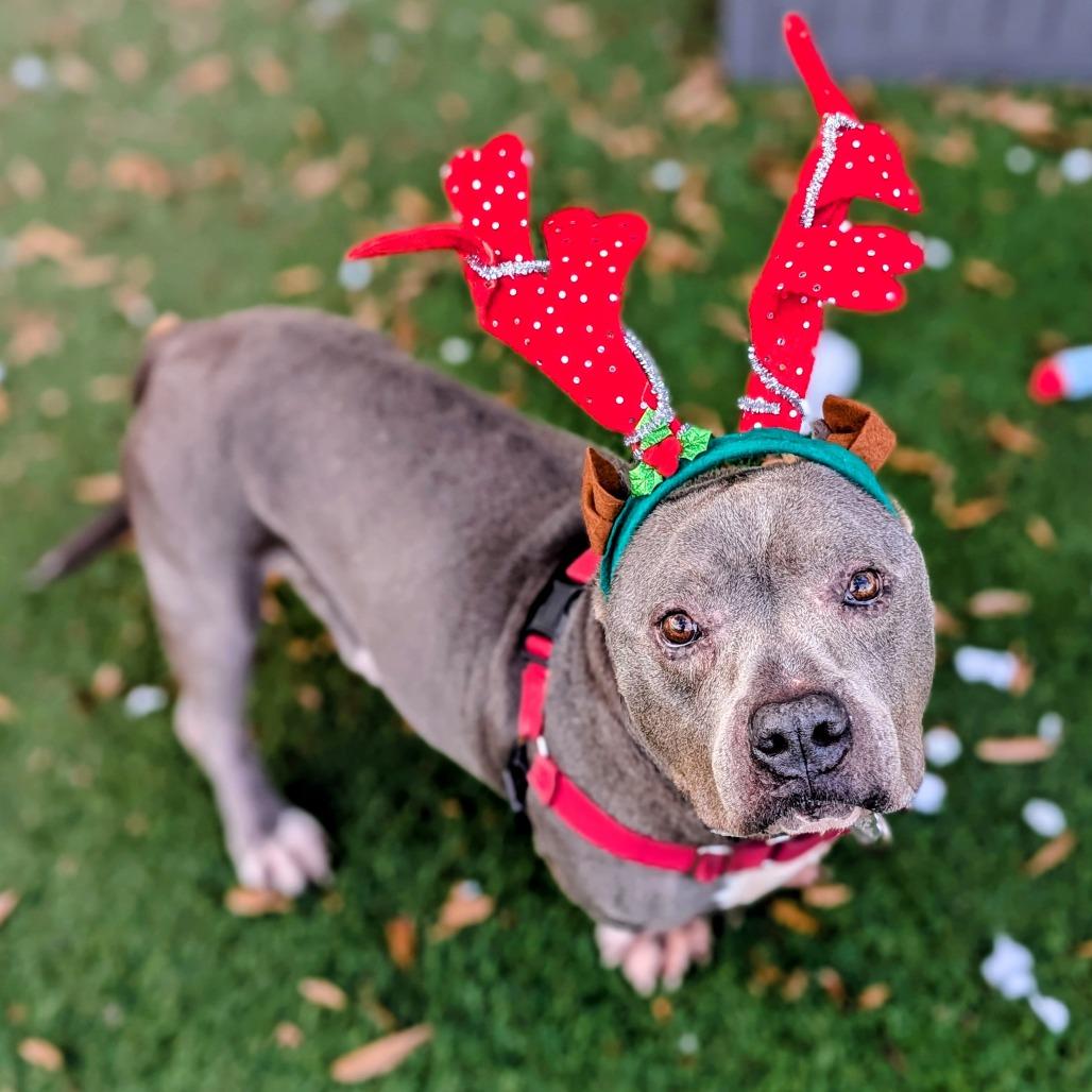 Mr. Potato HW+ 25-3484