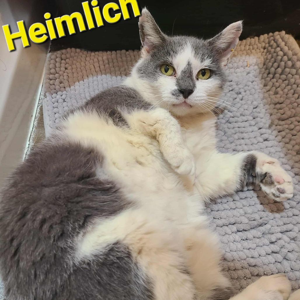 Heimlich