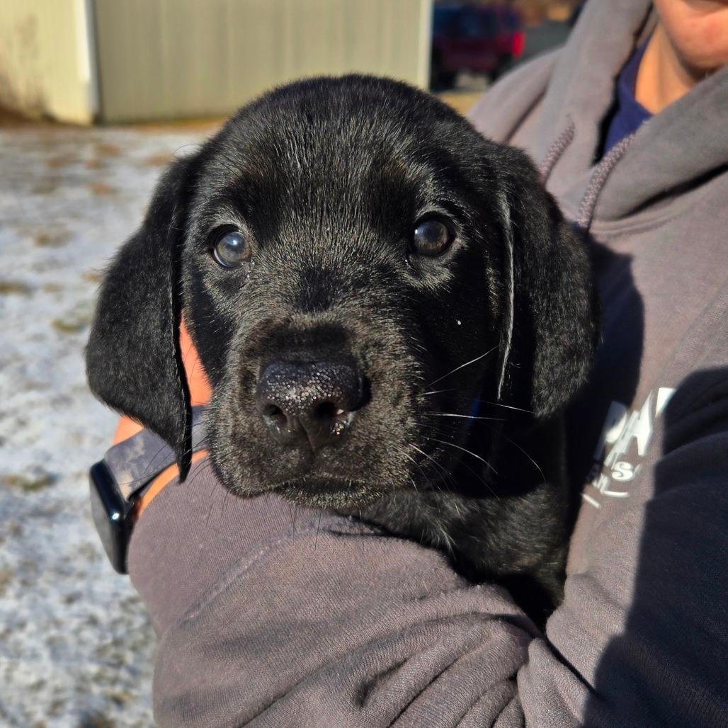 CT Coal avail Dec 27