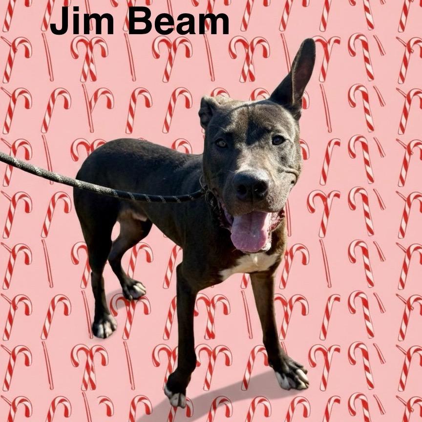 Jim Beam