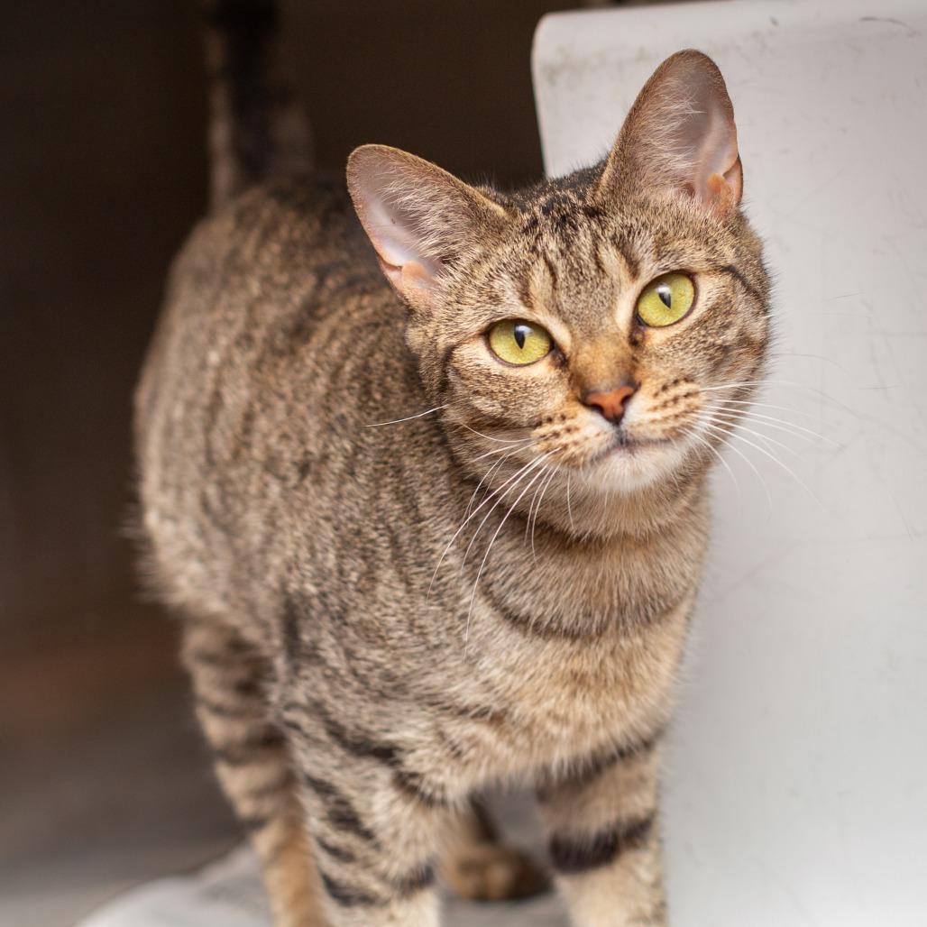 Iris by Goo Goo Dolls