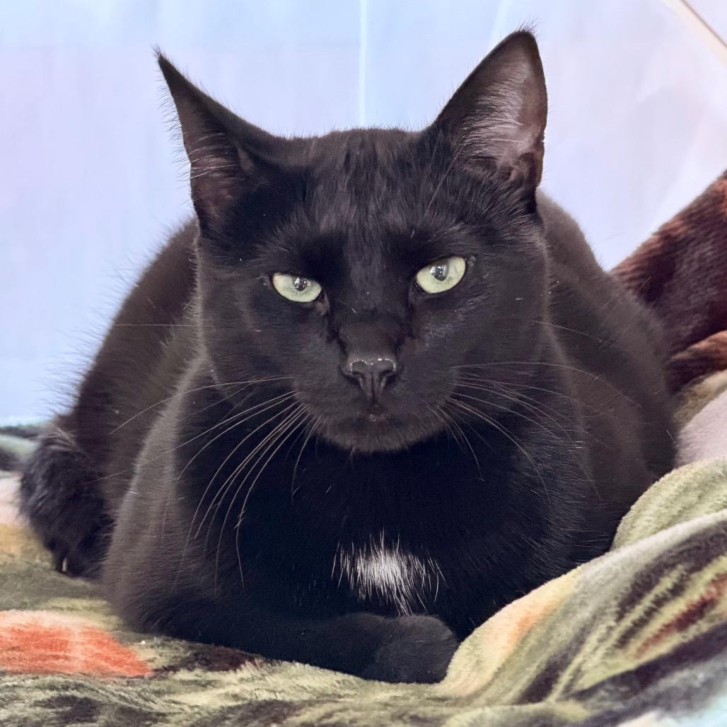 Cappy-$50 *See my video!!*