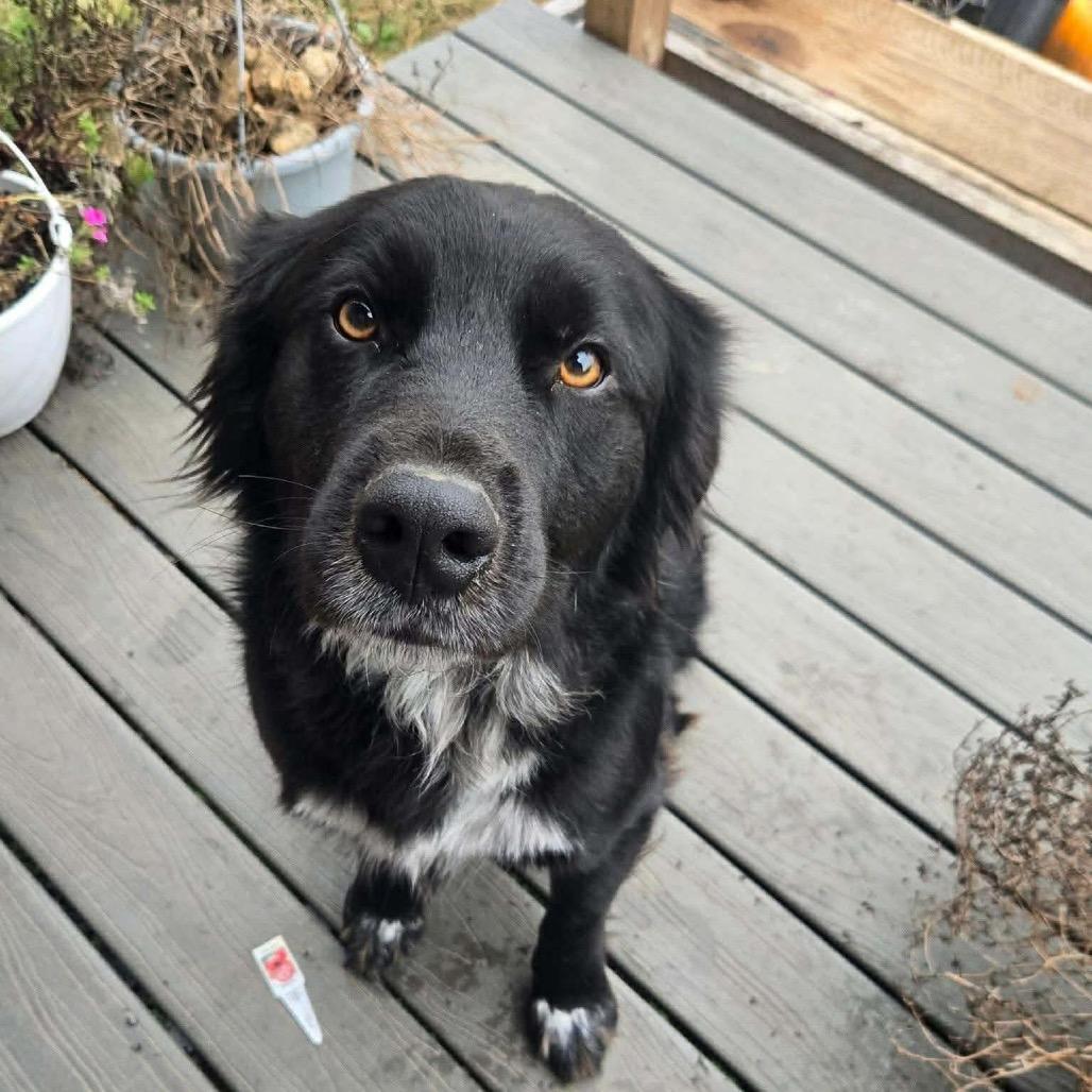 Benny previously Bacon