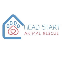 shelter logo