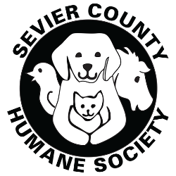 shelter logo