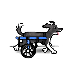 shelter logo