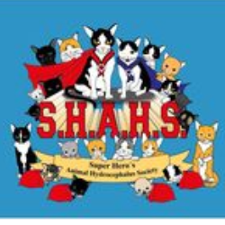 shelter logo