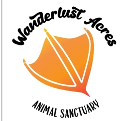 shelter logo