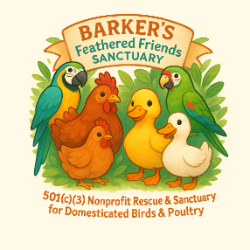 shelter logo