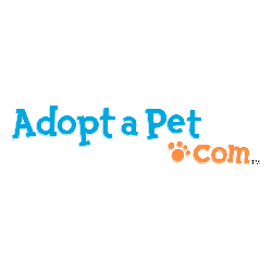 shelter logo