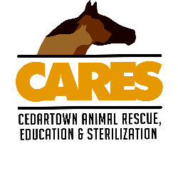 shelter logo