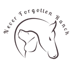 shelter logo
