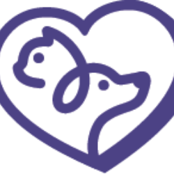 shelter logo
