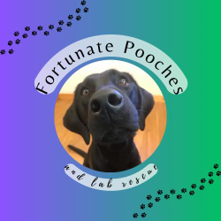 Fortunate Poches & Lab Rescue Inc.