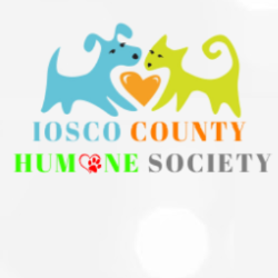shelter logo
