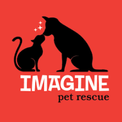 Imagine Pet Rescue