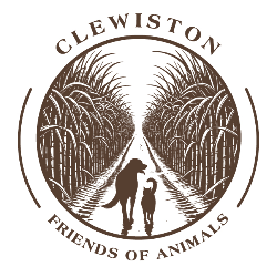 shelter logo