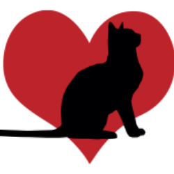 shelter logo