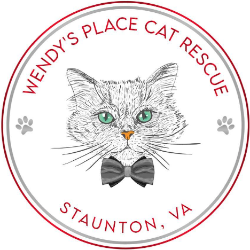shelter logo