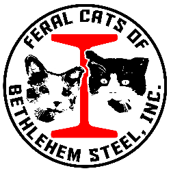 shelter logo