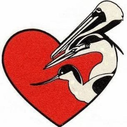 shelter logo