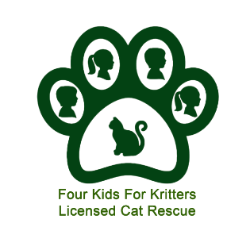 shelter logo