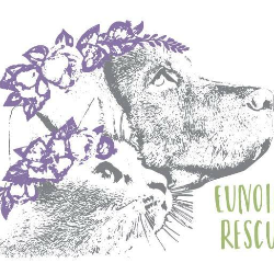 shelter logo