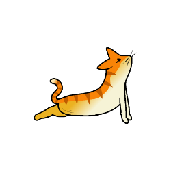 shelter logo